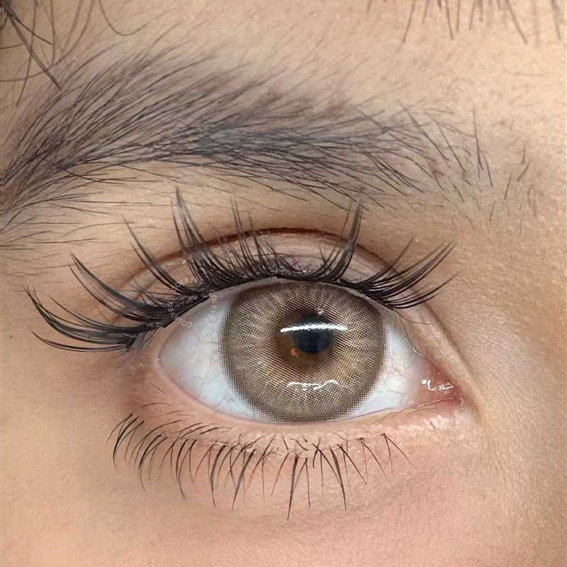 Coleyes Monarque Brown Yearly Colored Contacts - image 6