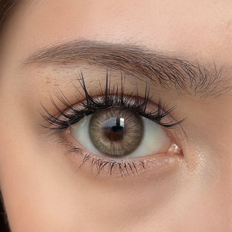 Coleyes Monarque Brown Yearly Colored Contacts - image 5