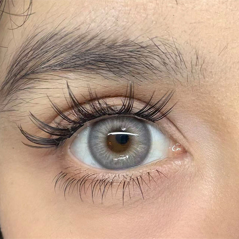 Coleyes Monarque Grey Yearly Colored Contacts - image 5