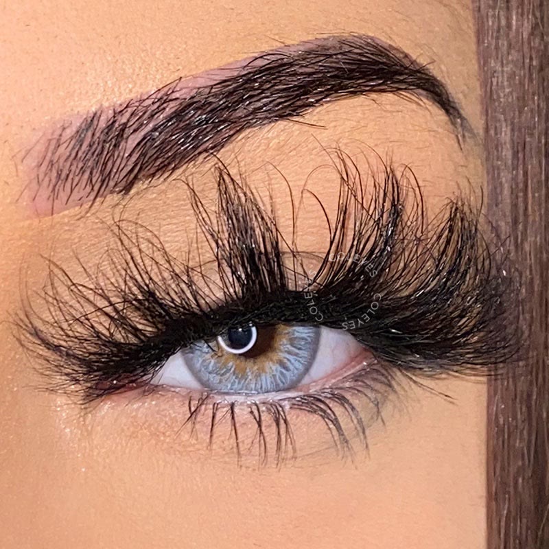 Coleyes Wildness Wolf Grey Colored Contacts - image 5