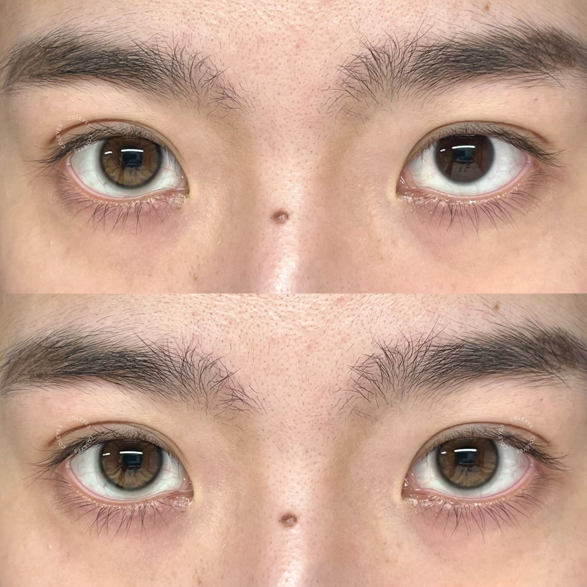 Coleyes Whisper Brown 6-Month Prescription Colored Contacts - image 6