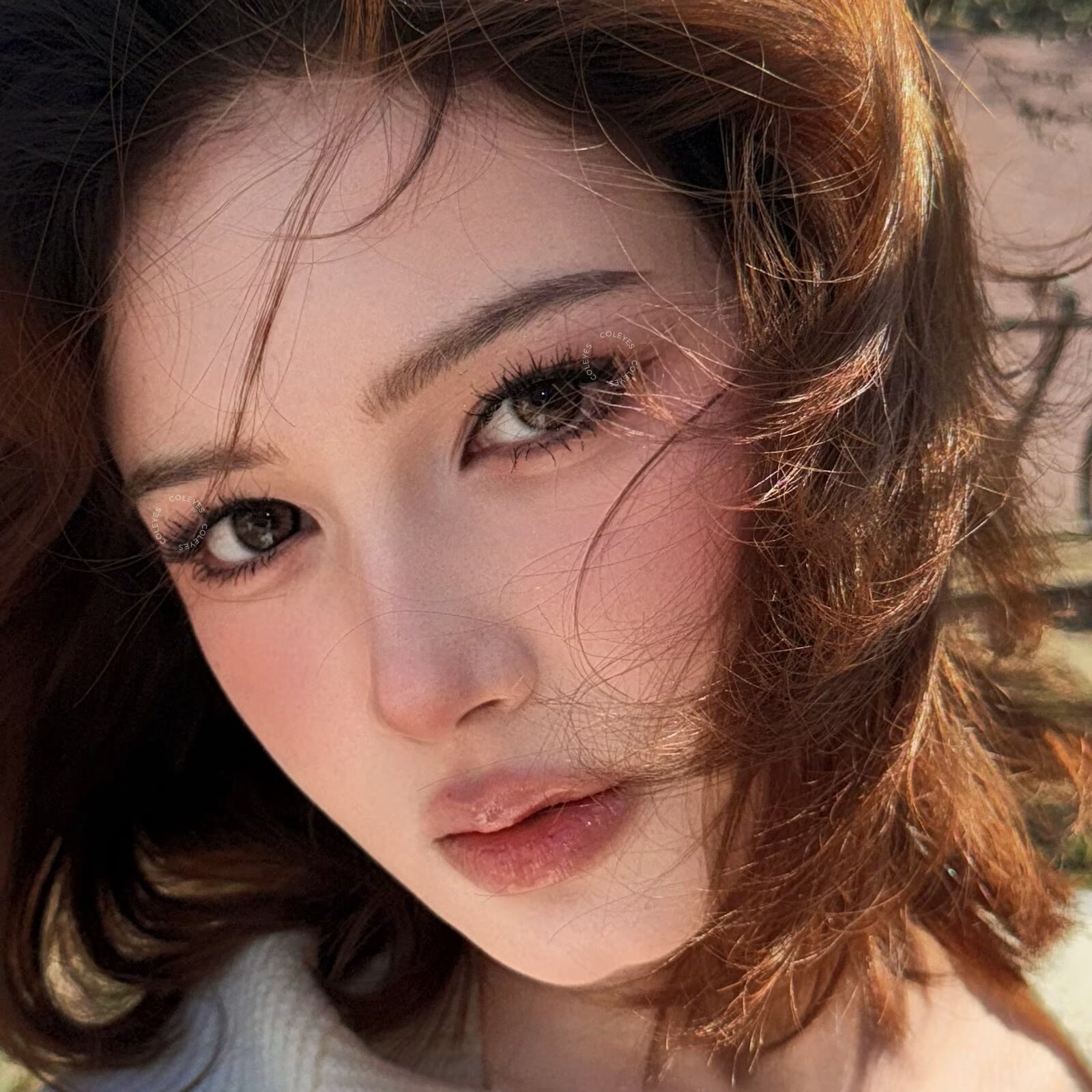 Coleyes Whisper Brown 6-Month Prescription Colored Contacts - image 8