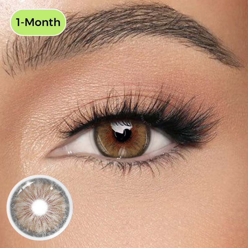 Coleyes Muse Brown Small Pupil Monthly Prescription Colored Contacts - Muse Brown (Monthly) - -8.00 - COMON_MI22-A (HBE1180-1) - image 1