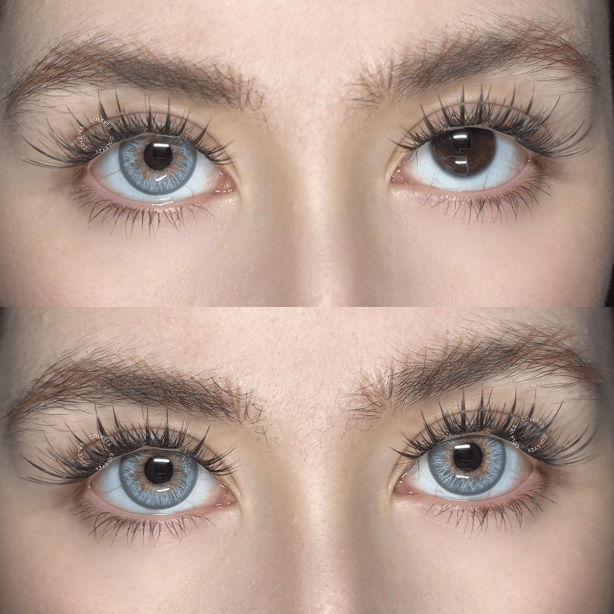 Coleyes Wildness Wolf Grey Colored Contacts - image 3