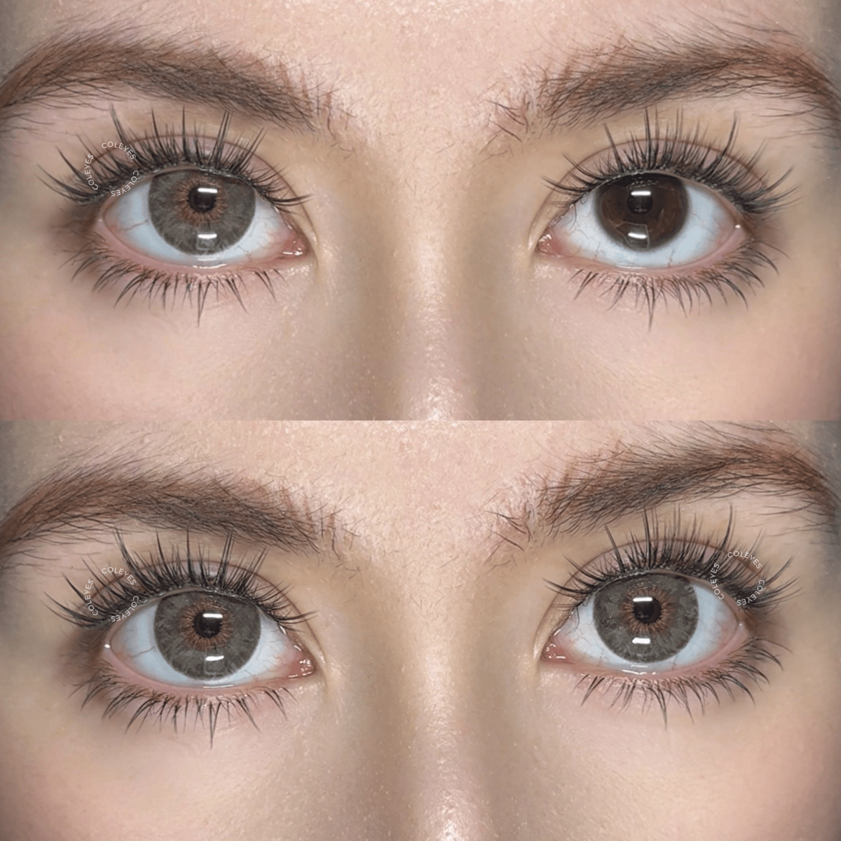 Coleyes Monica Brown Small Pupil Yearly Prescription Colored Contacts - image 3