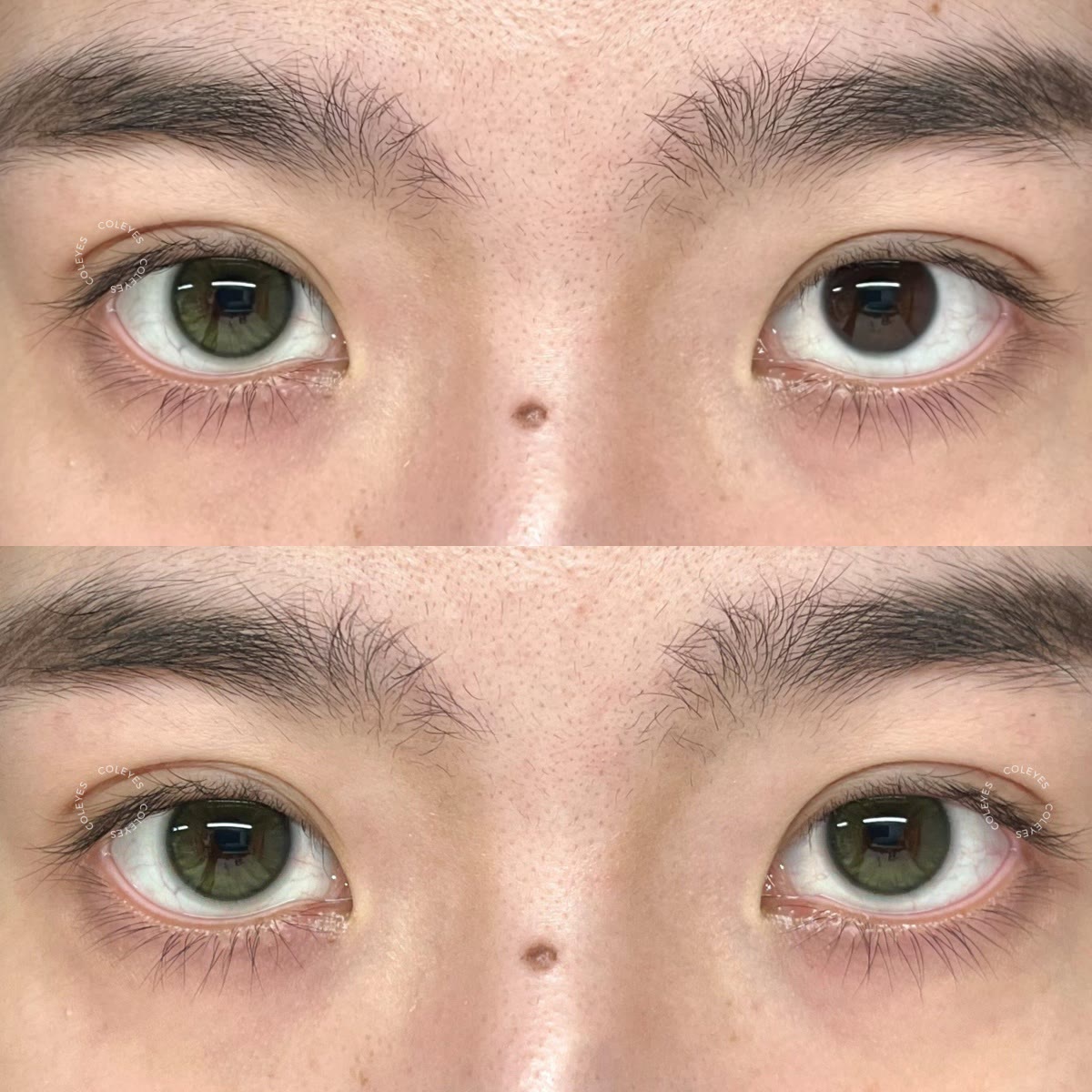Coleyes Whisper Green 6-Month Prescription Colored Contacts - image 3