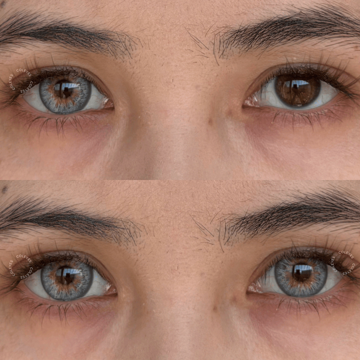 Coleyes Wildness Wolf Grey Colored Contacts - image 3