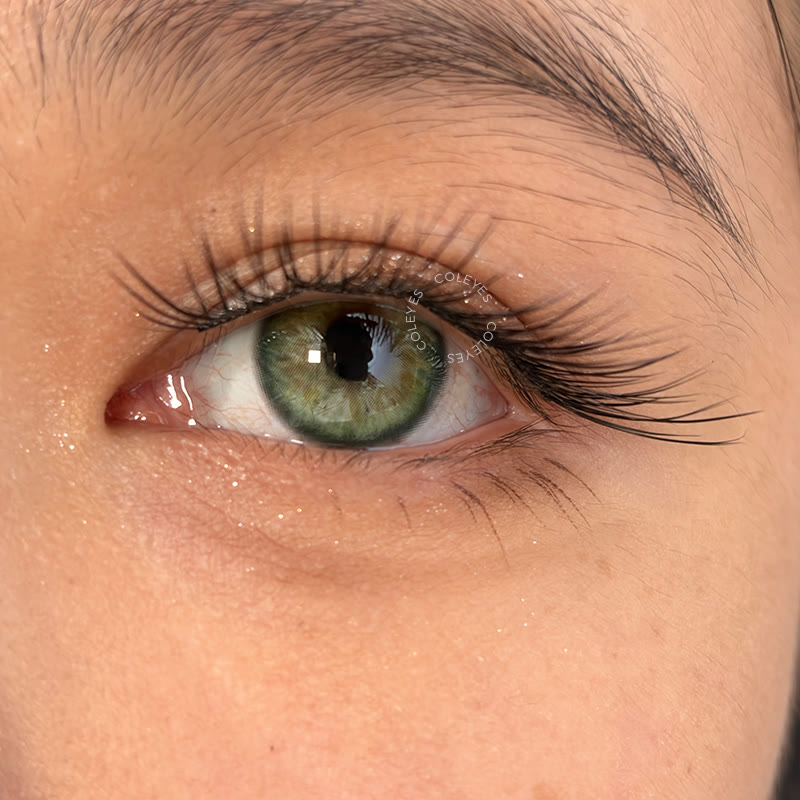 Coleyes Sylvan Green 6-Month Colored Contacts - image 2