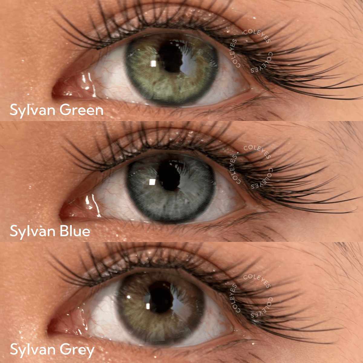 Coleyes Sylvan Blue Colored Contacts - image 10