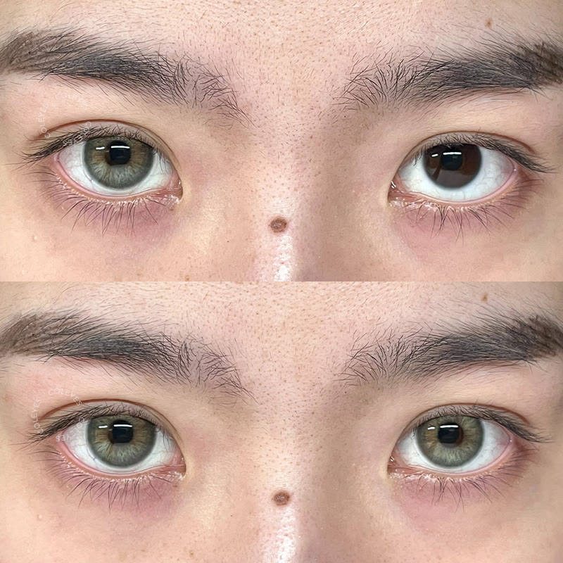 Coleyes Sylvan Grey Colored Contacts - image 3