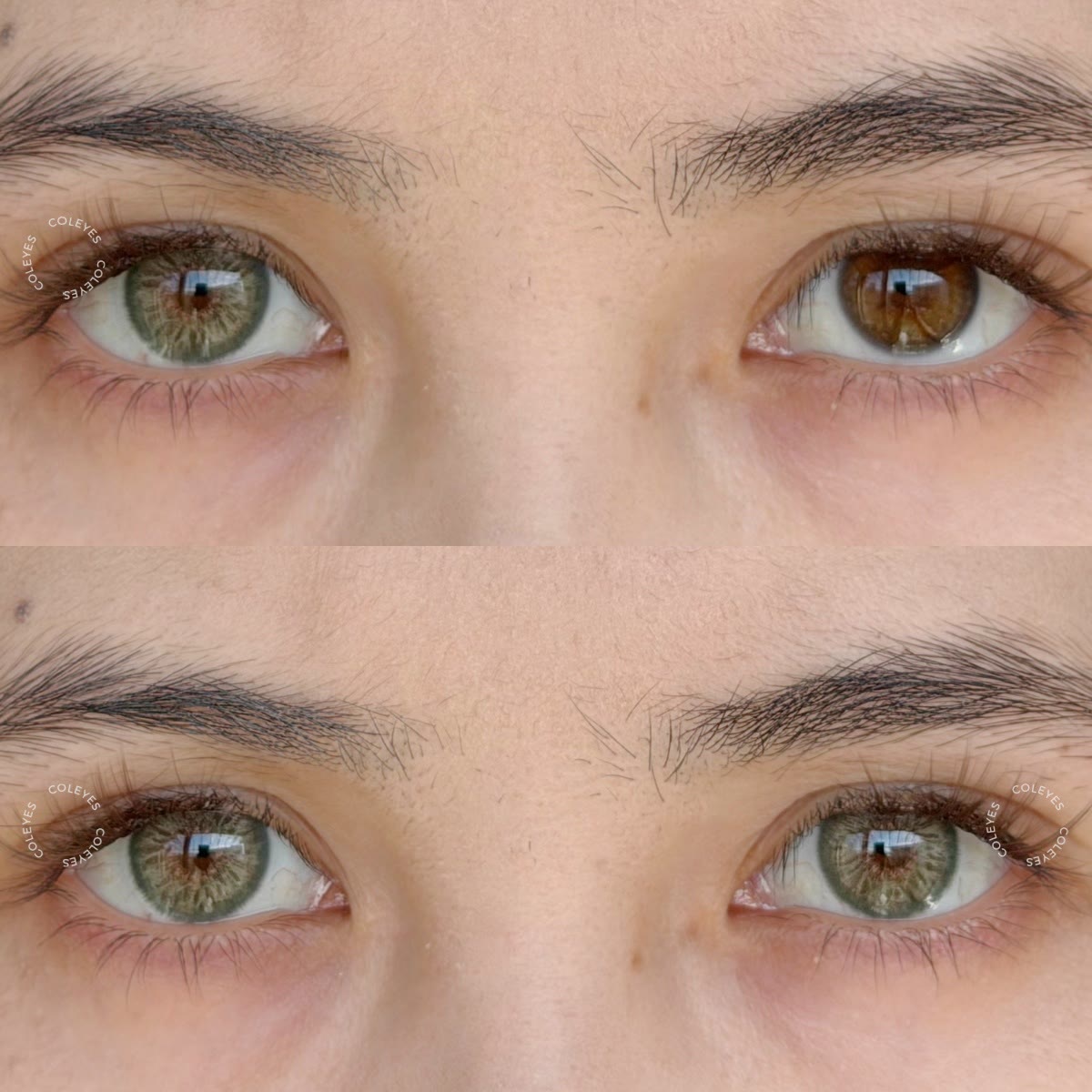Coleyes Dawn Olive Small Pupil Monthly Prescription Colored Contacts - image 4