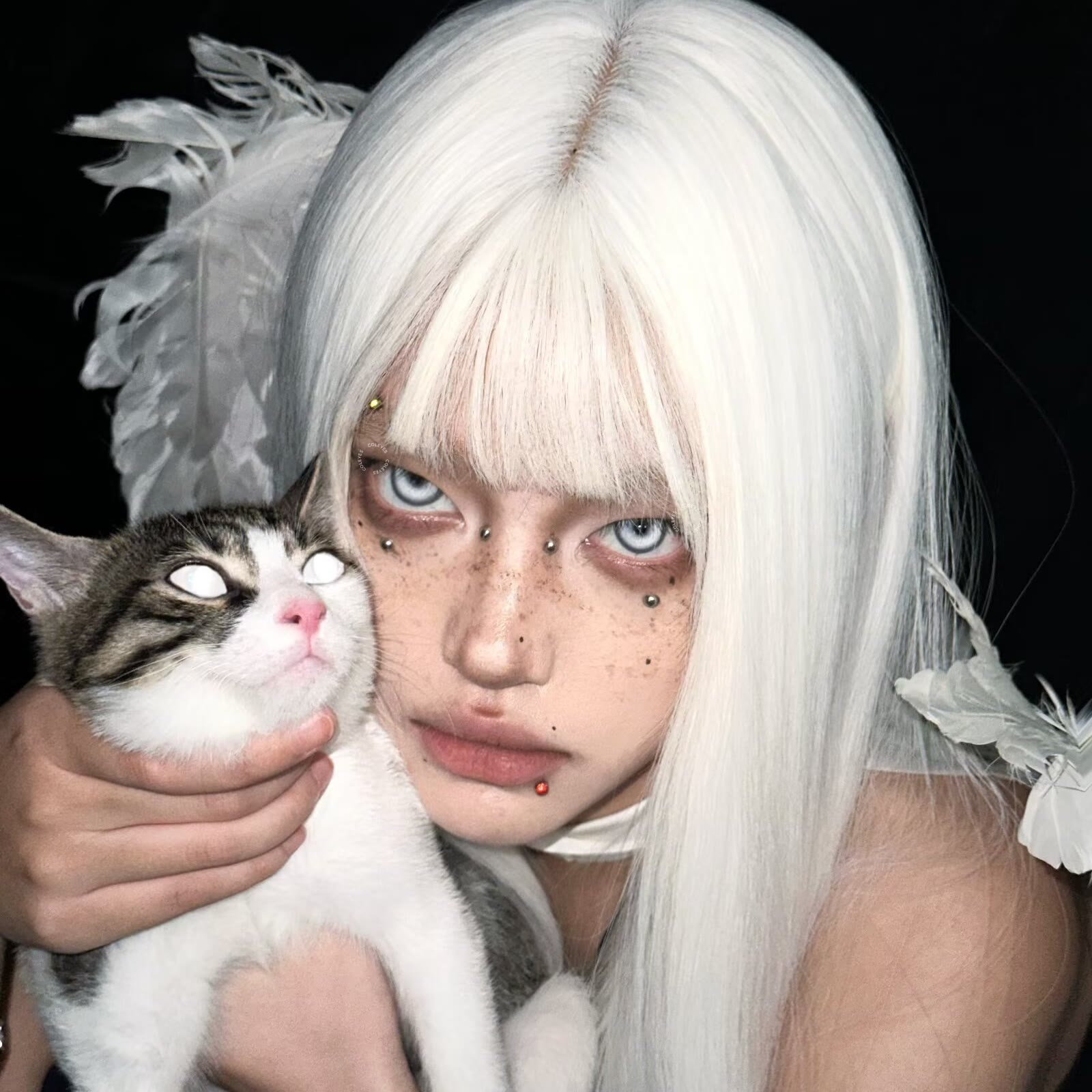 Coleyes Cosmic Best-Selling Yearly Cosplay Colored Contacts | 4-Color Set - image 3