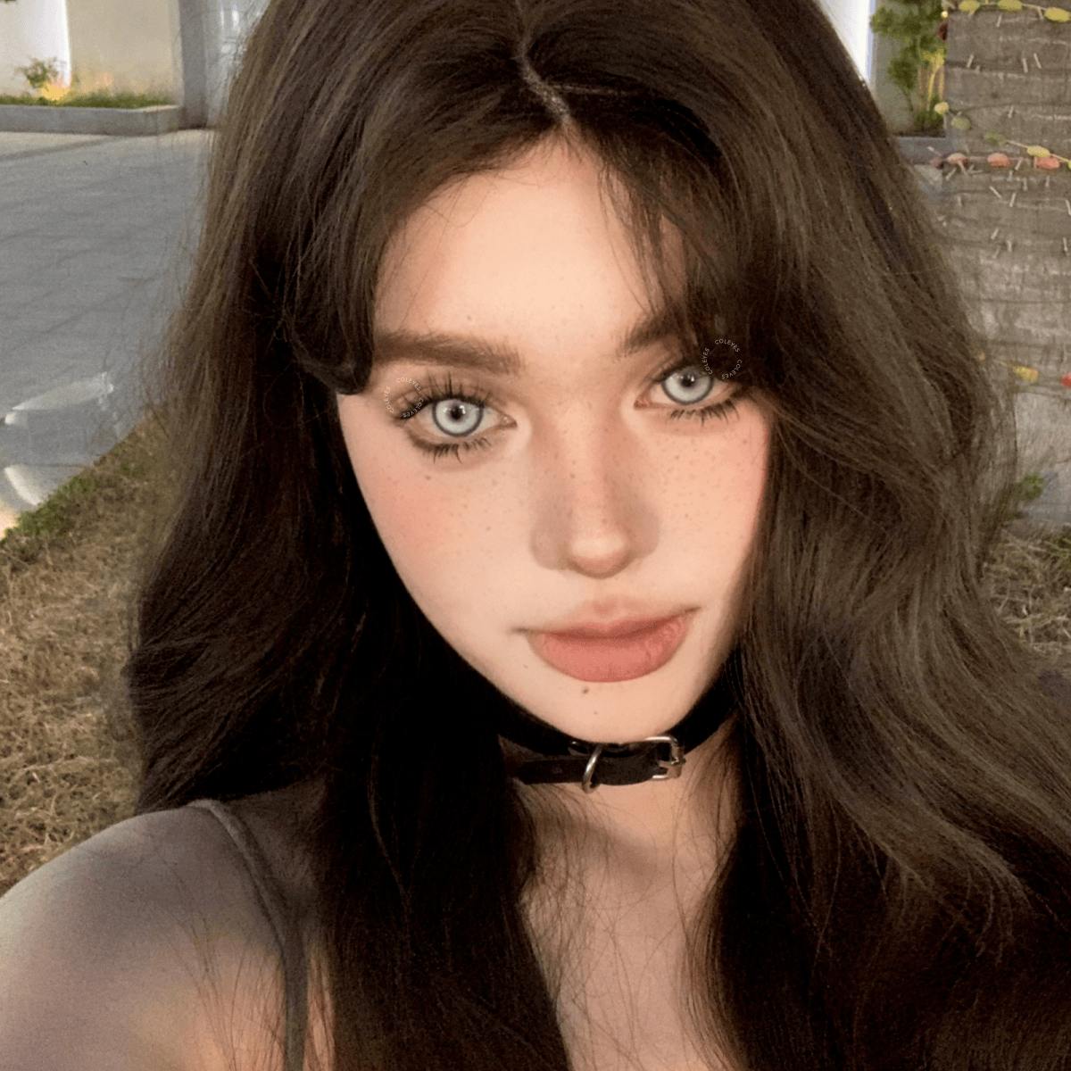 Coleyes Cosmic Best-Selling Yearly Cosplay Colored Contacts | 4-Color Set - image 8