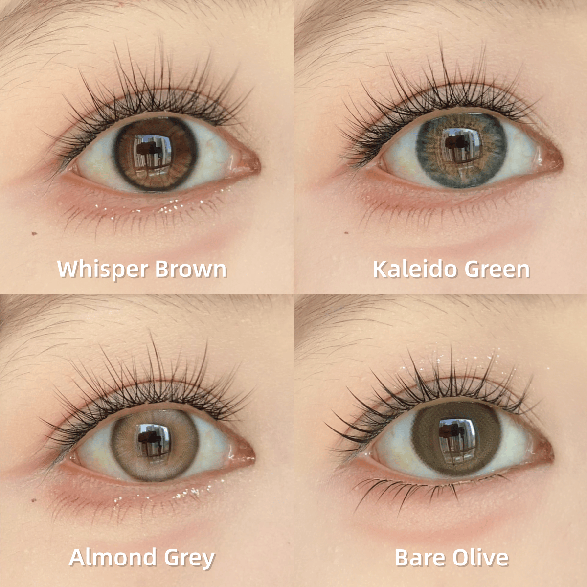 Coleyes Natural Lens Monthly Colored Contacts | 4-Color Set - image 2