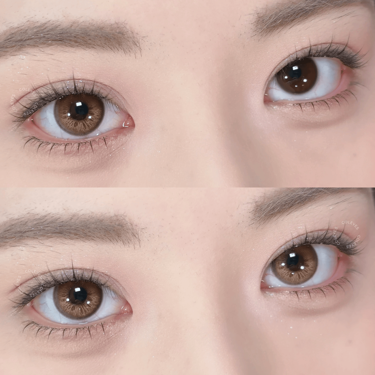 Coleyes Crush Brown 6-Month Axis Lock Colored Contacts - image 2