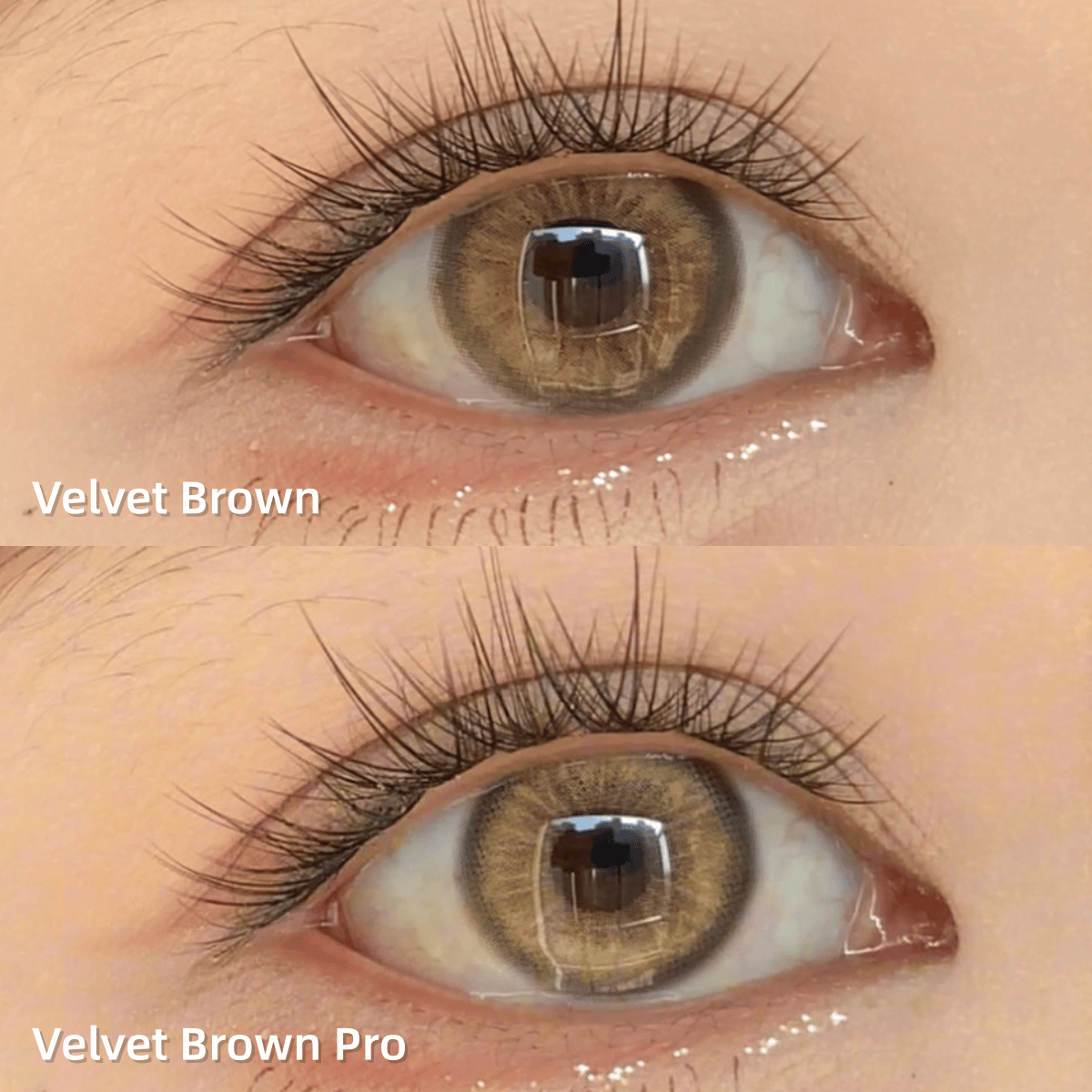 Coleyes Velvet Brown Pro Yearly Prescription Colored Contacts - image 2