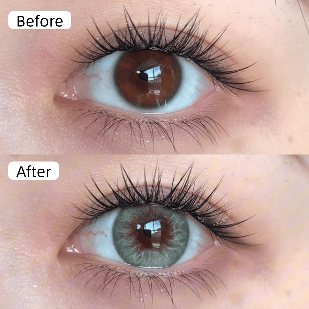 Coleyes Reverie Green Yearly Colored Contacts - image 2
