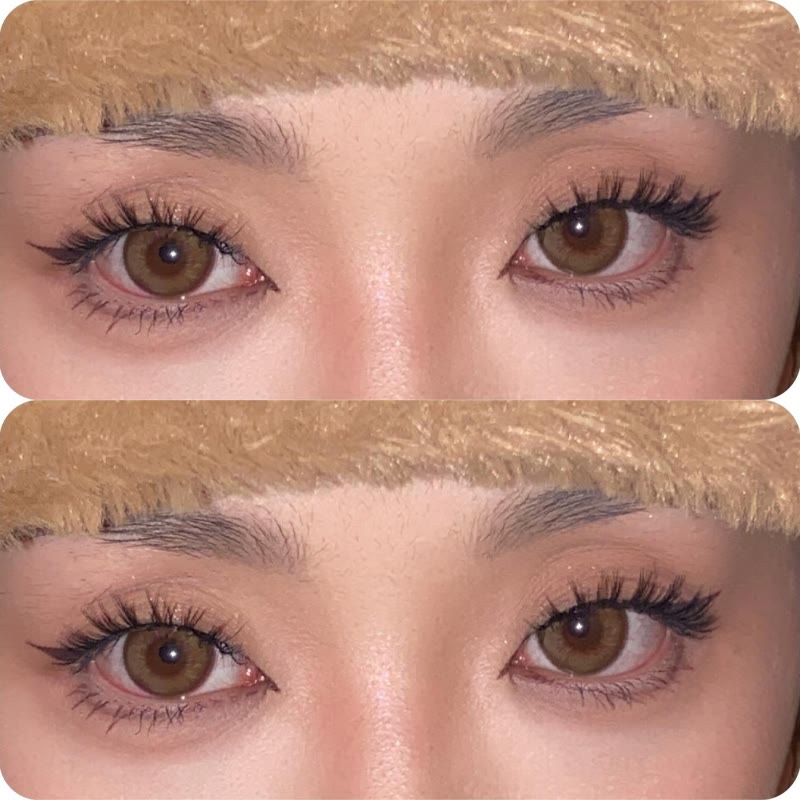 Coleyes Queencard Brown Yearly Colored Contacts