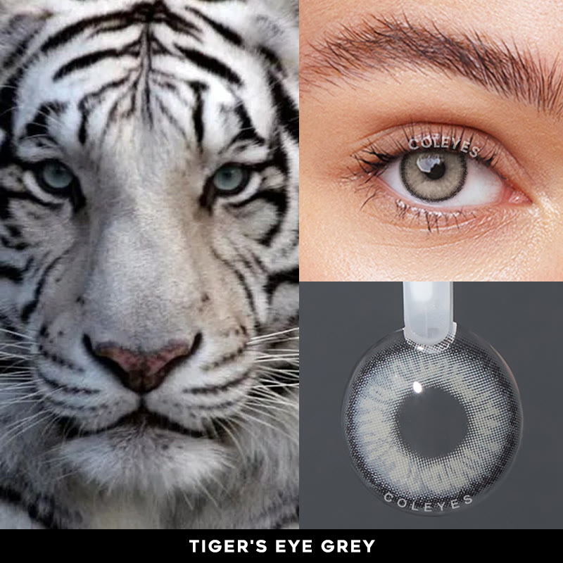 Coleyes Tiger's Eye Grey Yearly Prescription Colored Contacts - image 7