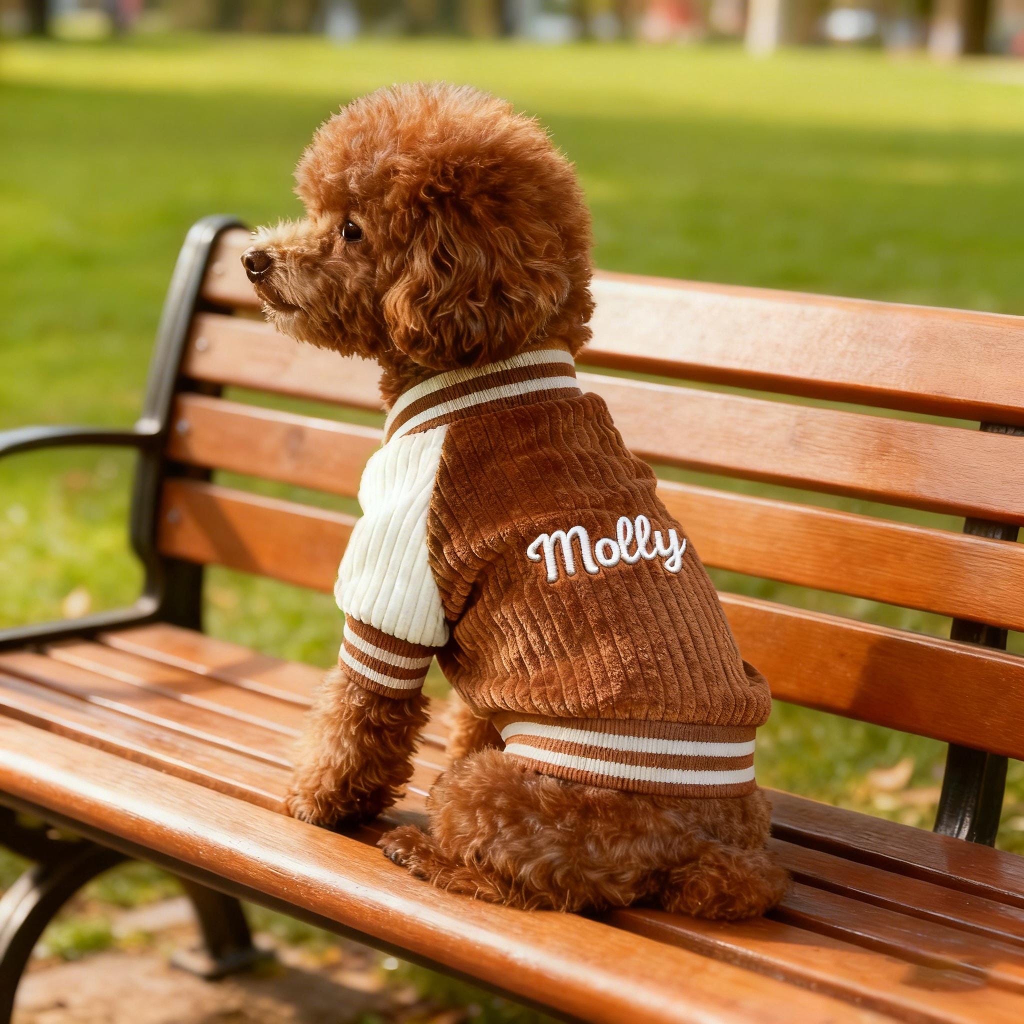 Personalized Embroidered Pet Baseball Jacket | KKPet395 – KisssKids
