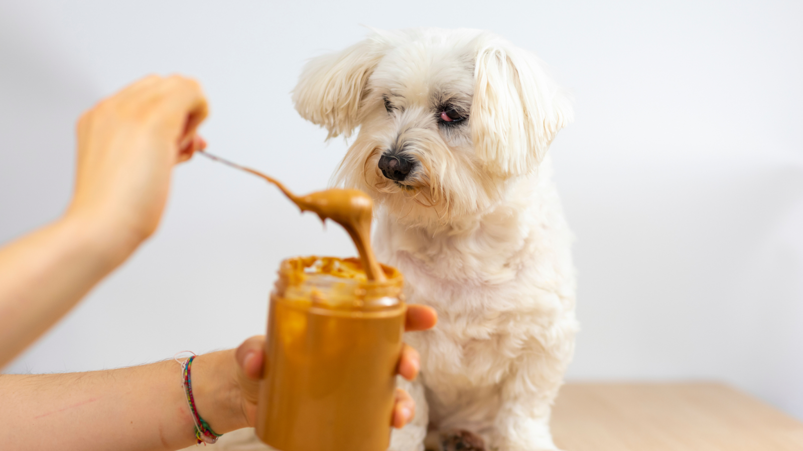 Can dogs eat top raw almonds