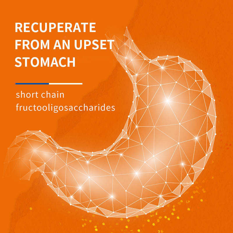 Puainta® Lecithin Supplements for Dogs, 300g