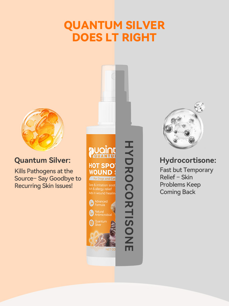 cat skin conditions- Puainta&reg; Quantum Skin Spray