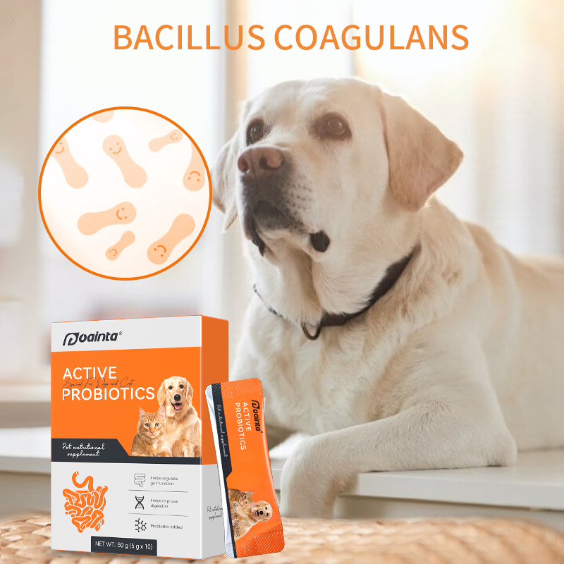 Puainta® Probiotic Powder for Dogs&Cats