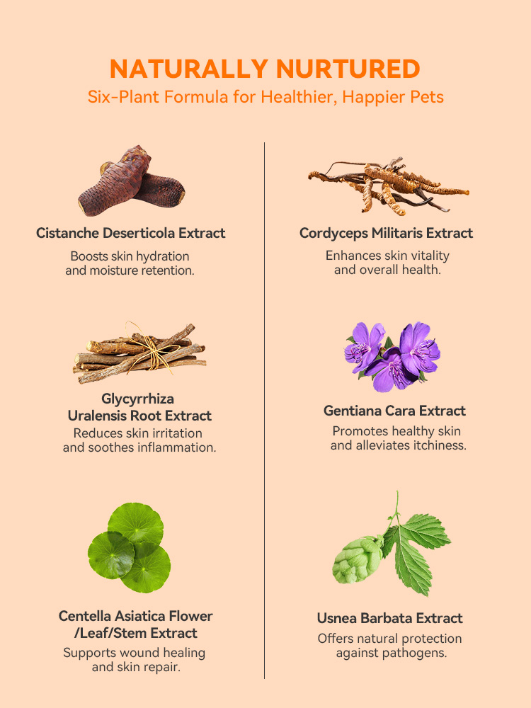 plant extracts heal dog mange