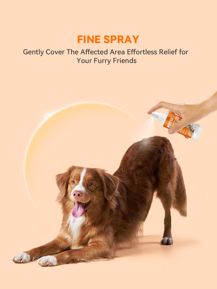 skin conditions in dogs-Puainta&reg; Quantum Skin Spray