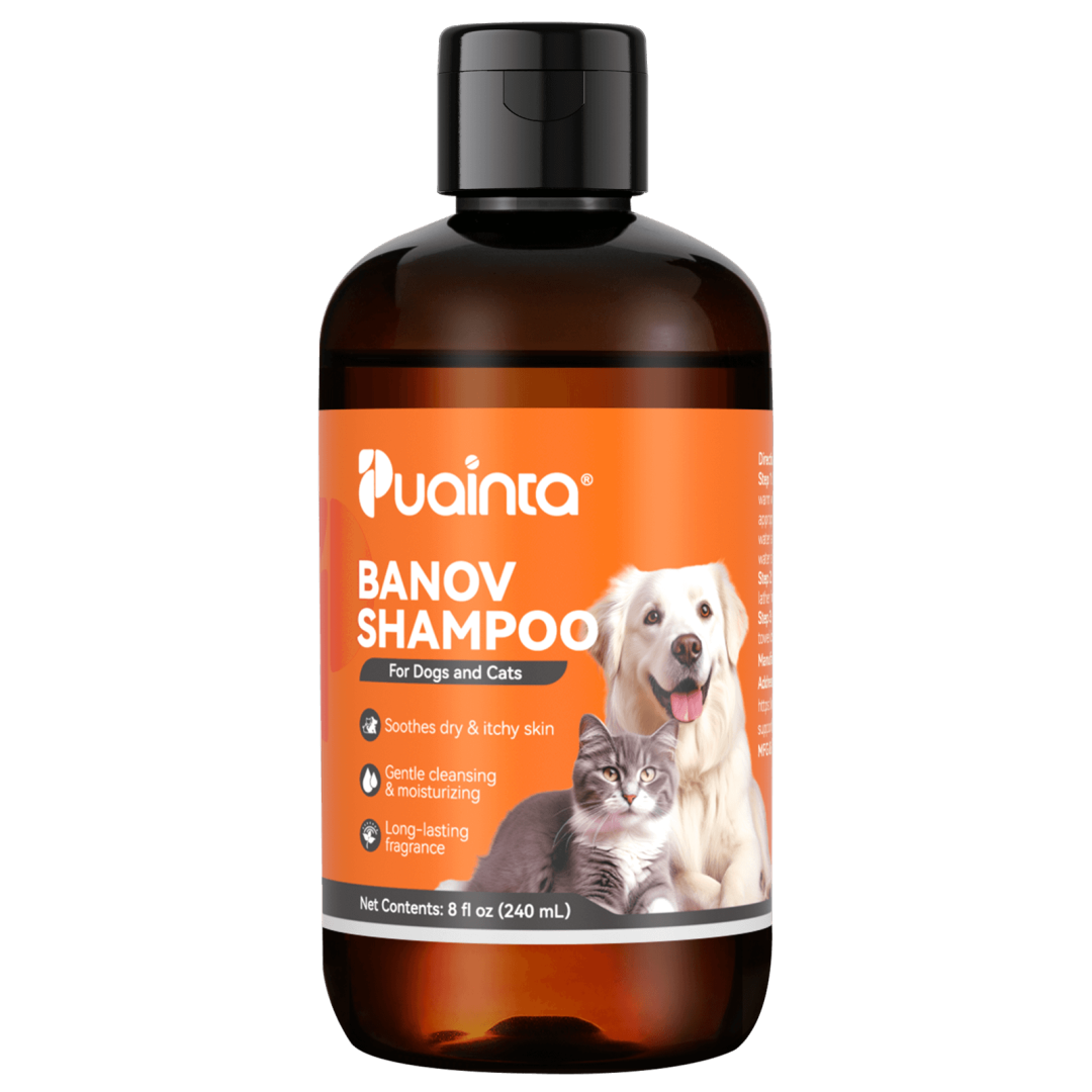 skin-coat-care-puainta