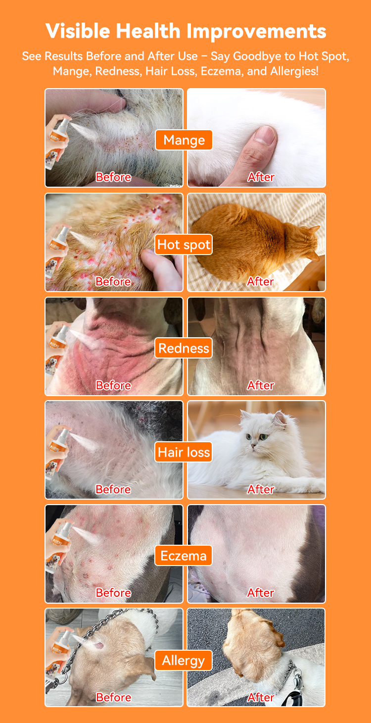 types of dog skin diseases with pictures