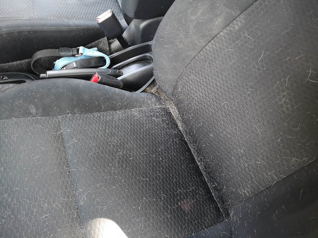 Removing dog hair from car sale seats