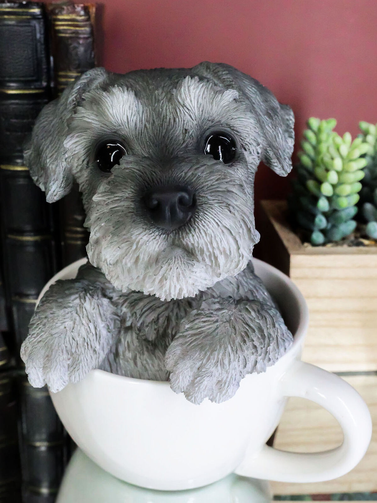 Mini sales teacup schnauzer