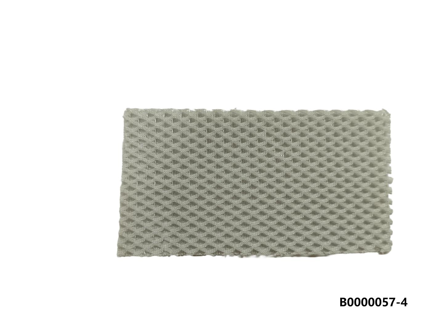 Mesh for shoes