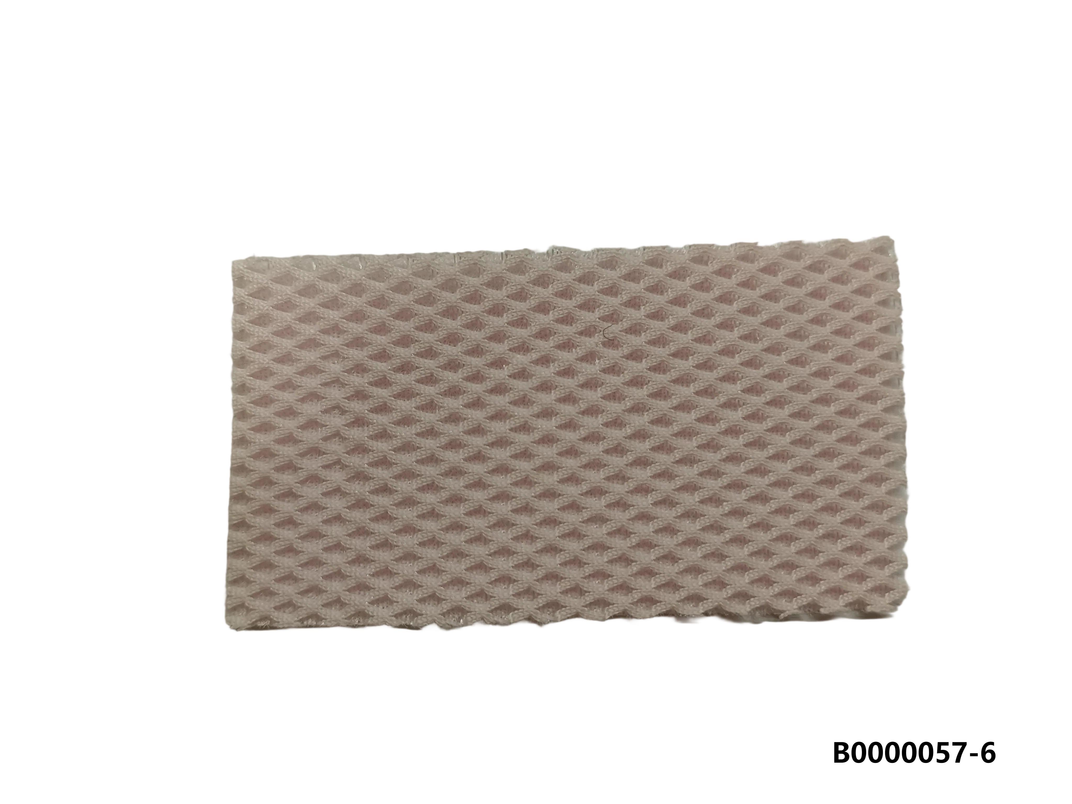 Mesh for shoes