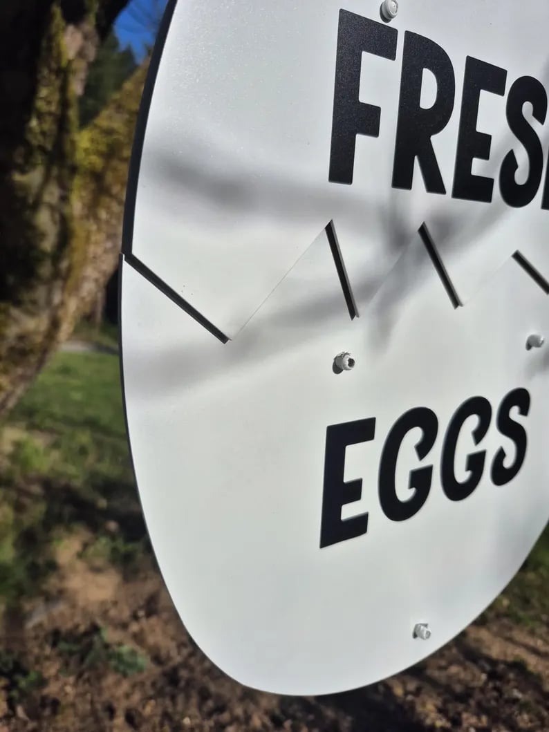Egg Drop image 6