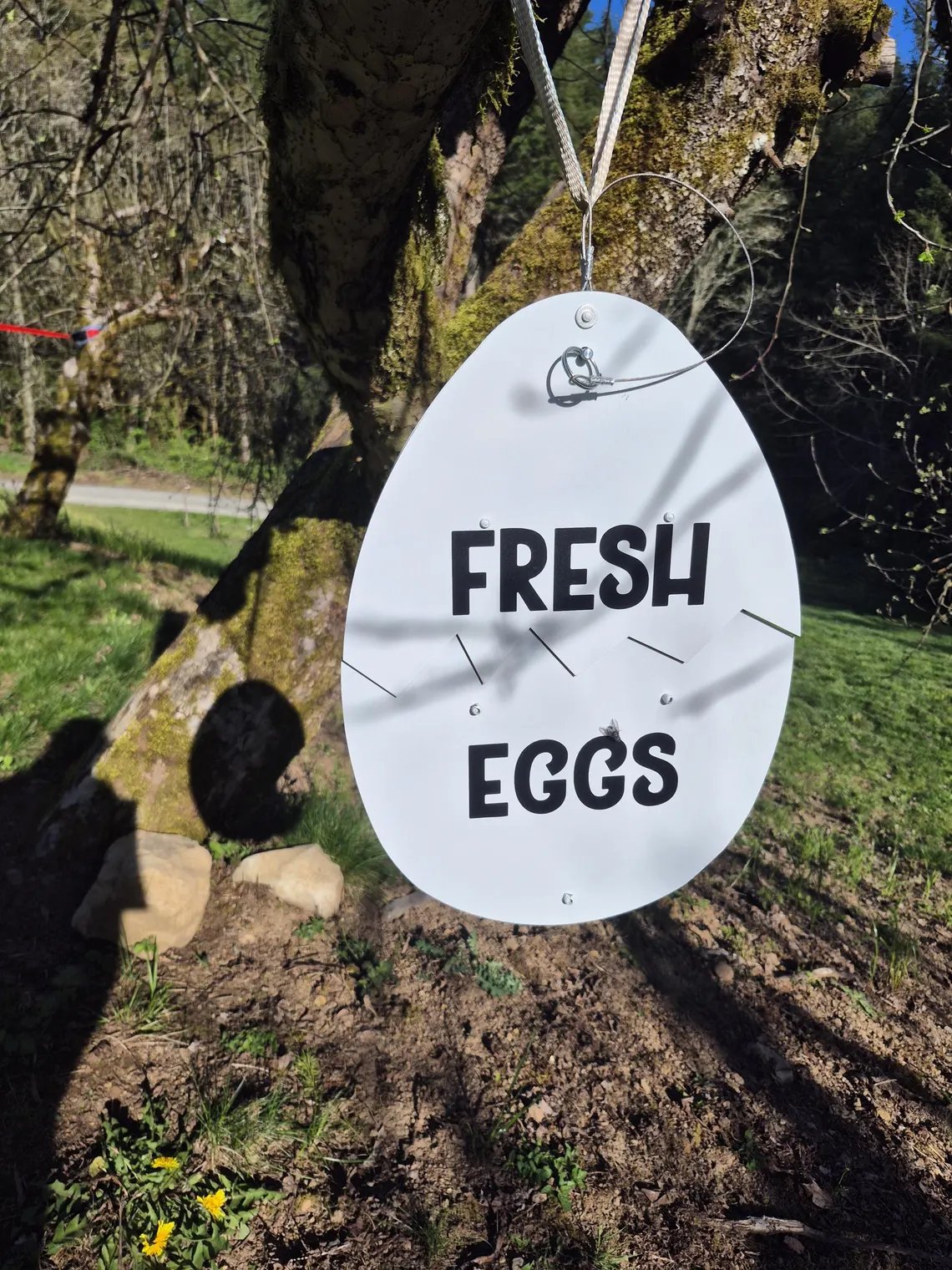 Egg Drop image 3