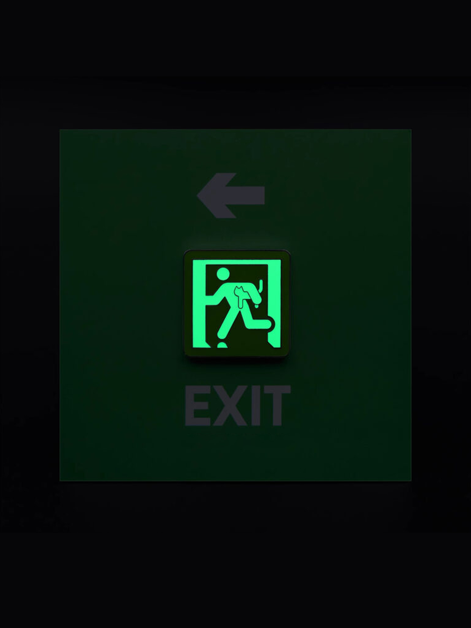 Run with the Cats & Dog Pins