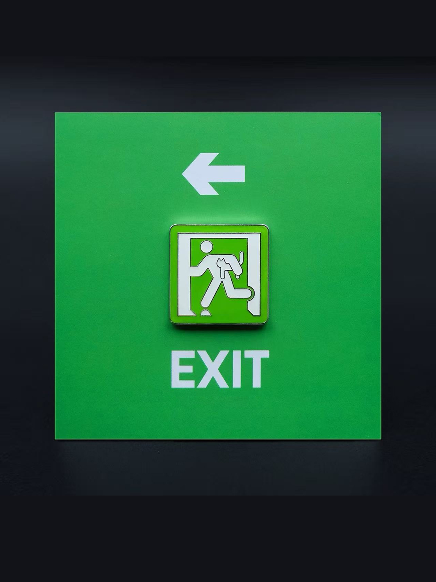 Run with the Cats & Dog Pins