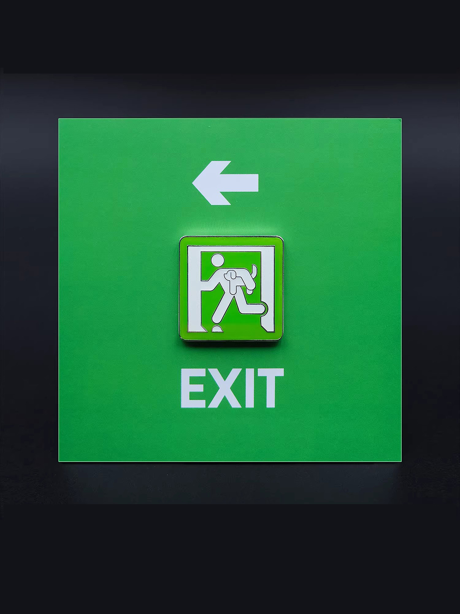 Run with the Cats & Dog Pins