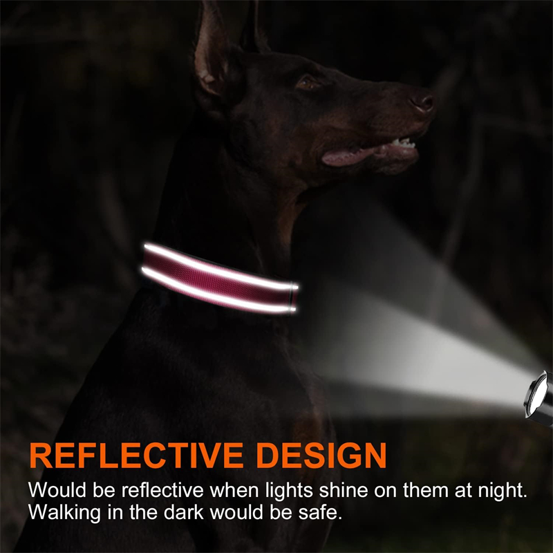 Personalized Reflective Nylon Dog Collar with Engraved Name Plate