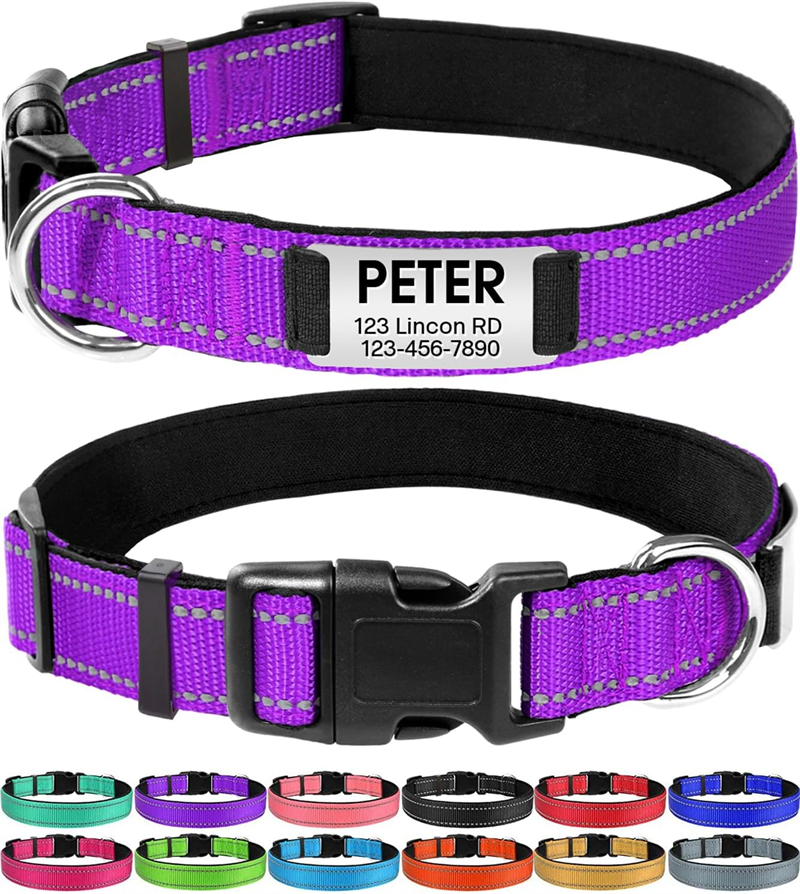Personalized Reflective Nylon Dog Collar with Engraved Name Plate
