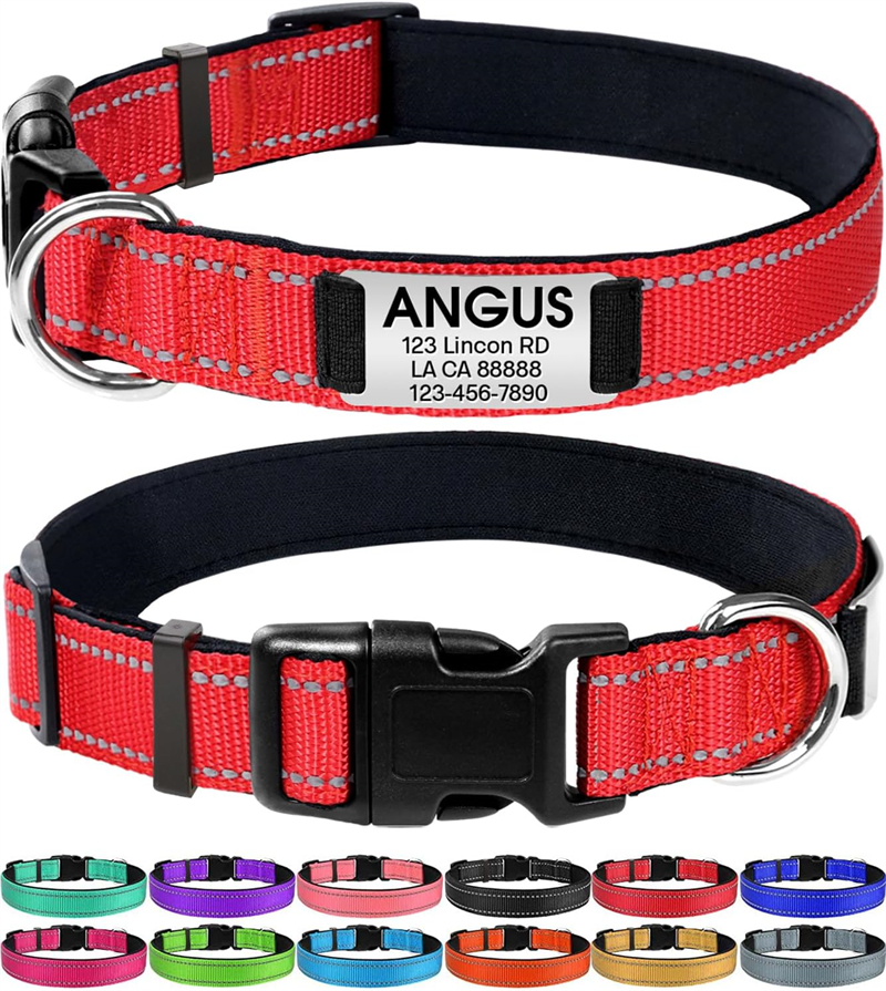 Personalized Reflective Nylon Dog Collar with Engraved Name Plate