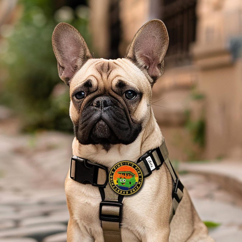 Dumpster Fire Embroidered Patch