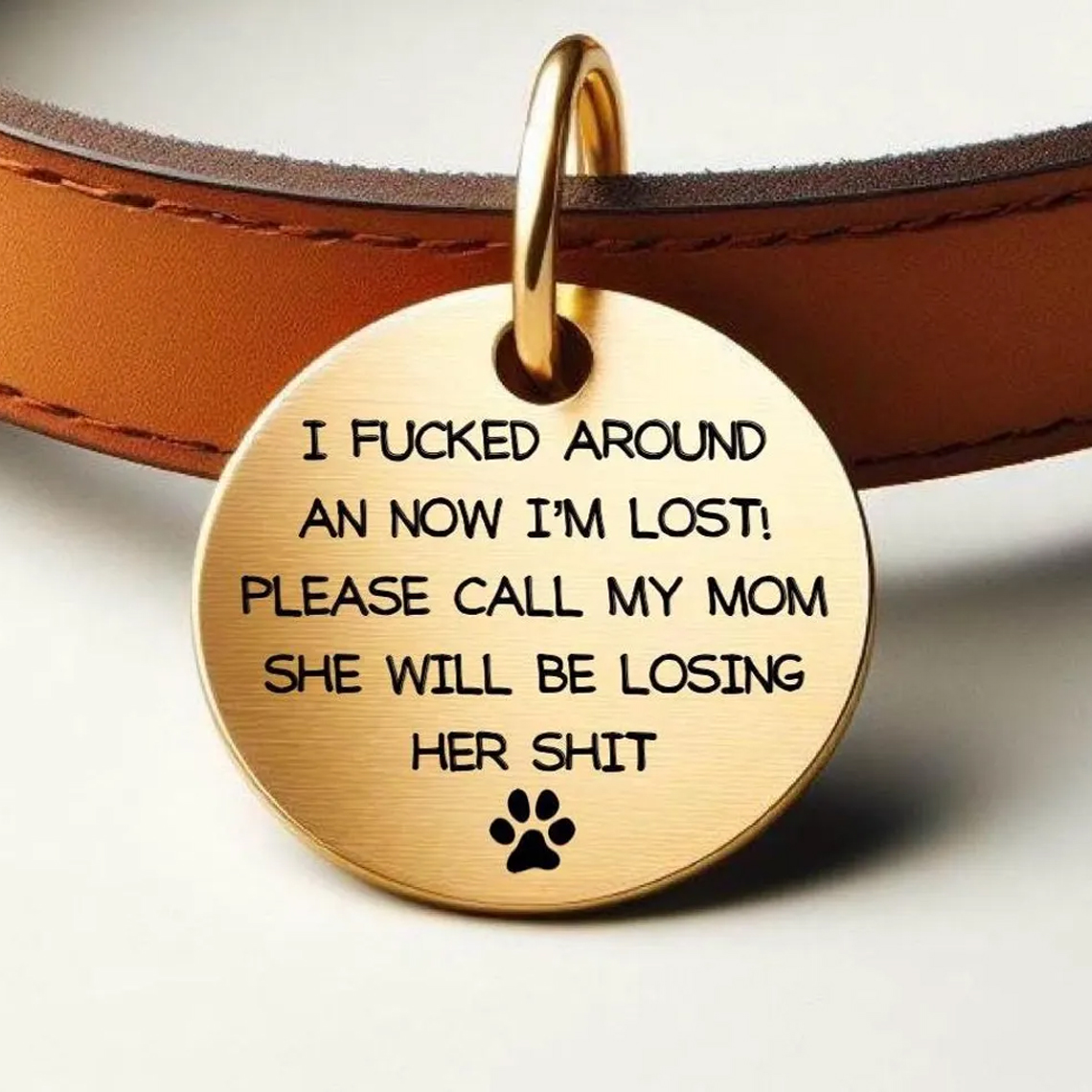 Custom kitten puppy pet tag ID identity