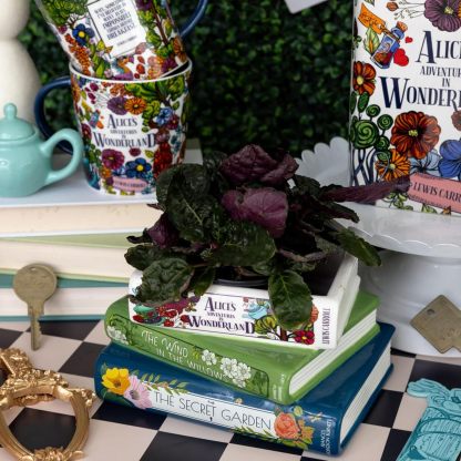 💖Hot 49% OFF🌹Original Small Book-Shaped Decorative Planter 🌿📚