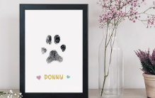 🐾Paw Print Kit for Dogs & Cats - 4-Pcs Mess-Free Ink Pads, 2 Photo Frames | Clean Touch Pet Paw and Nose Print Keepsake Memorial Gift