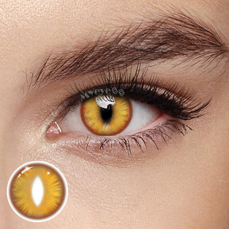 MYEYEBB Dragon Eye Gold Brown Prescrition Cosplay Colored Contact Lenses丨1 Day - Dragon Eye Gold Brown (1 Day) - -8.00 - OD_DY01_BN - image 1