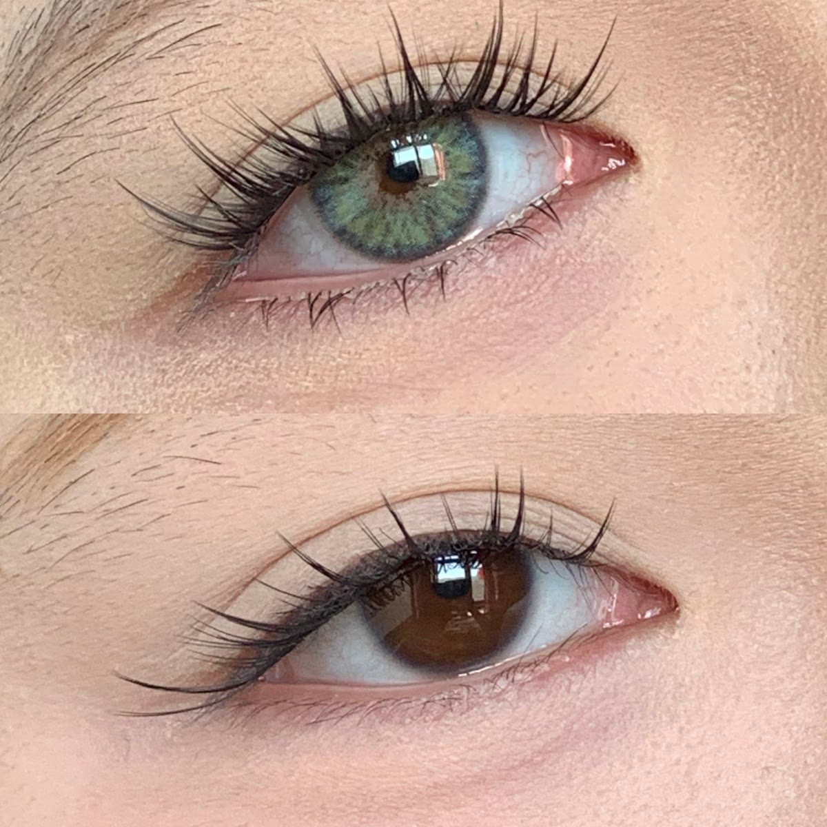 MYEYEBB Petite Iris Grey Green Colored Contact Lenses